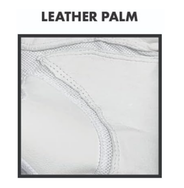 Middlebury Panther Golf Glove