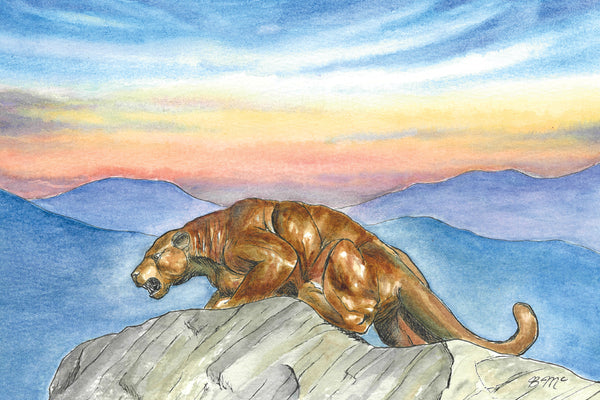 Middlebury College Panther - Sunrise: Post Card