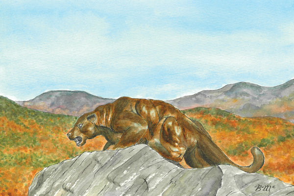Middlebury College Panther - FALL: Post Card
