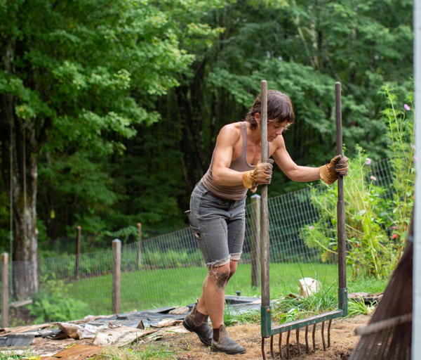 The Vermonter