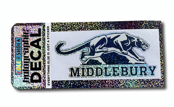 Panther on the Rock Decal - Holographic