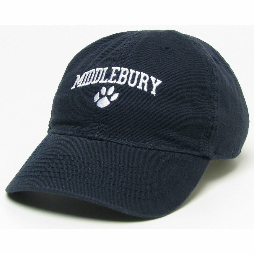 Navy toddler sales hat